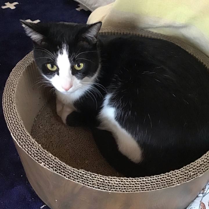 Ef27a129 7750 463c bcfb 5d81a33497ce 1707714809633