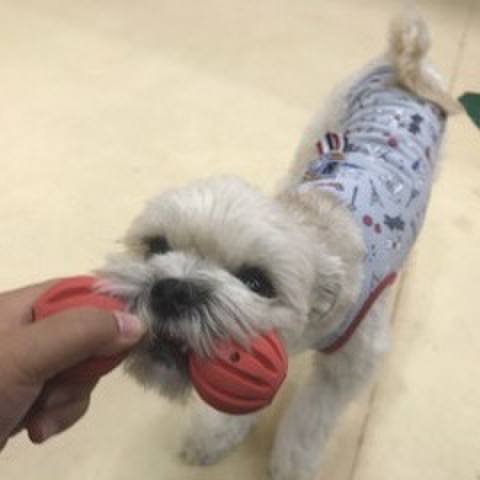 Ef27a31f 809e 4788 bde2 b70db4116327 1512559486456