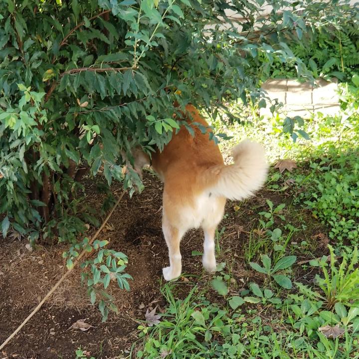 Ef27b497 9fef 422a 9fb8 a2459db05197 1727218817762