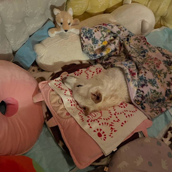 Ef27c188 584c 4ab6 a46c 796479e0d76a 1679314972682