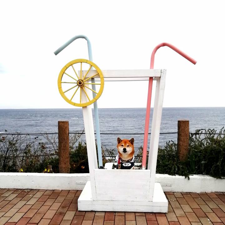 Ef27c56a 5768 4e1c b5a4 16ba8494cb5a 1674043247477