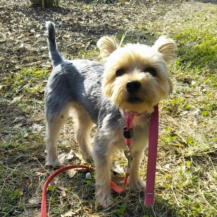 Ef280f02 326c 447e 8119 c90fefdffbbc 1603521782901