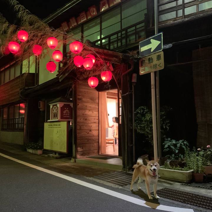 Ef285cb7 6f09 4e40 9647 9be52550901d 1626435461521