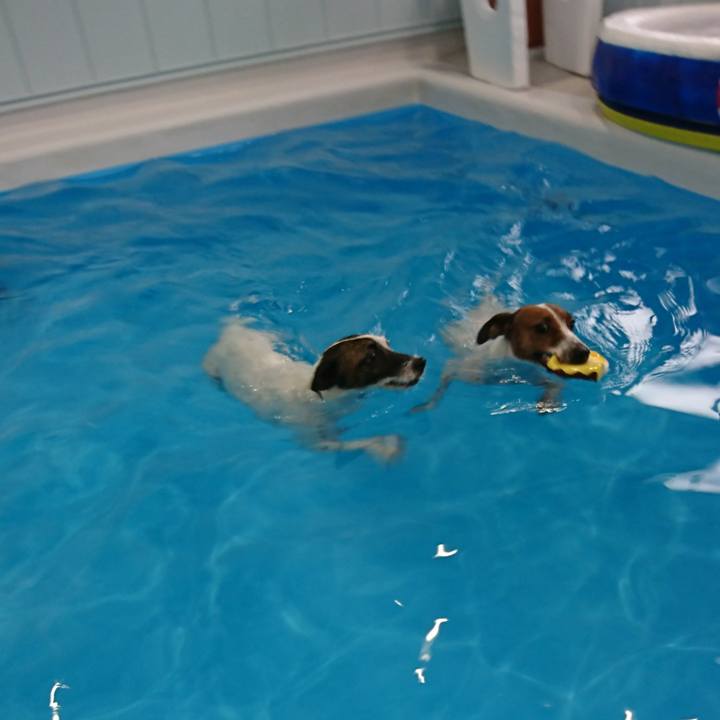 Ef286c7d 9a5f 4319 9555 391ccdac60b6 1571296851509