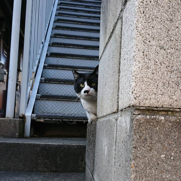 Ef287a0f f497 40dd 9450 b03a9e762cc2 1547449084611