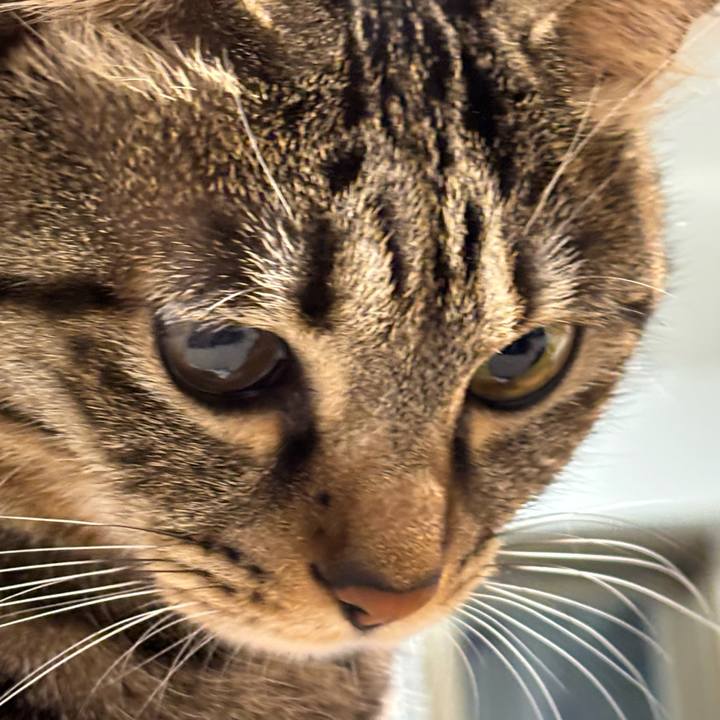 Ef289029 2eea 4724 b351 178b84d77131 1768611380781