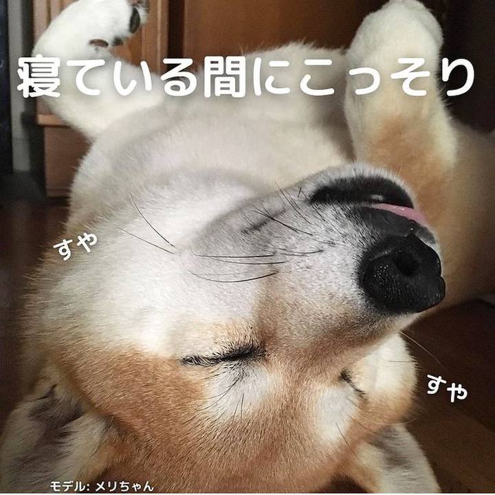 Ef28b1f9 2b86 456f 8ee5 c9fdadeea0fd 1629108899818