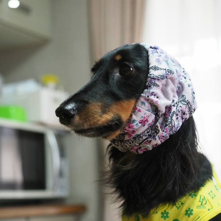 Ef28b67d e823 4e1c 99ac 3a487cf40a71 1562310450825