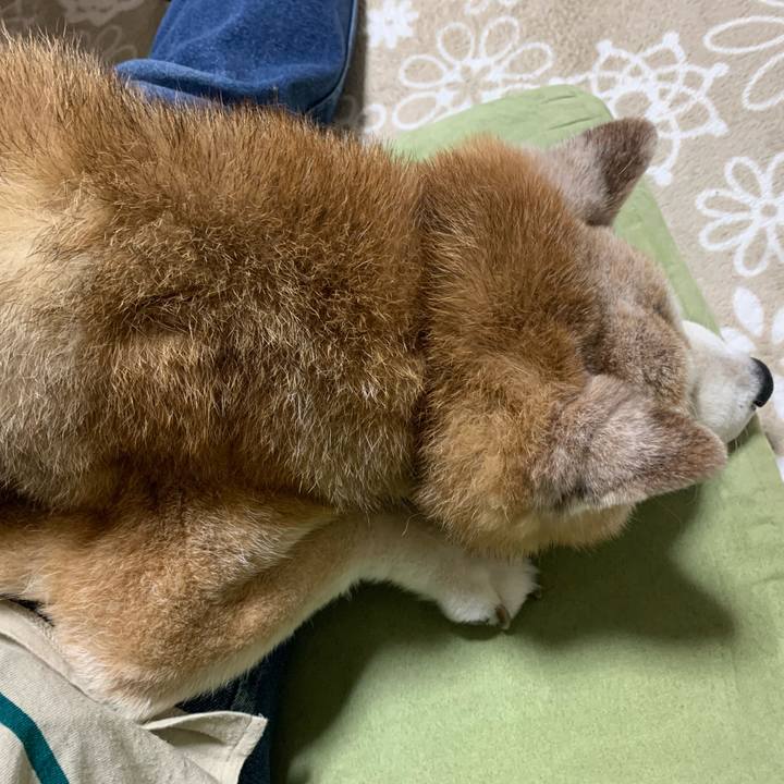 Ef28b988 febe 4dcf 923c 57975d62c696 1698662818901