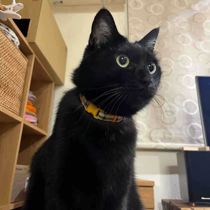 Ef28d2aa 1d6b 4450 97b6 9f46c3e80eed 1668596039038