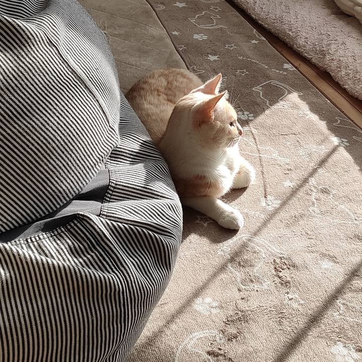 Ef28f9d6 fe09 4b4a 8f0f 2d5f3b1a9a74 1675036026111