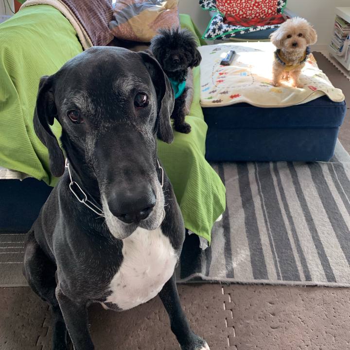 Ef29080a ad50 4bb5 a0b4 8b5e7e2b3f3a 1552516927850