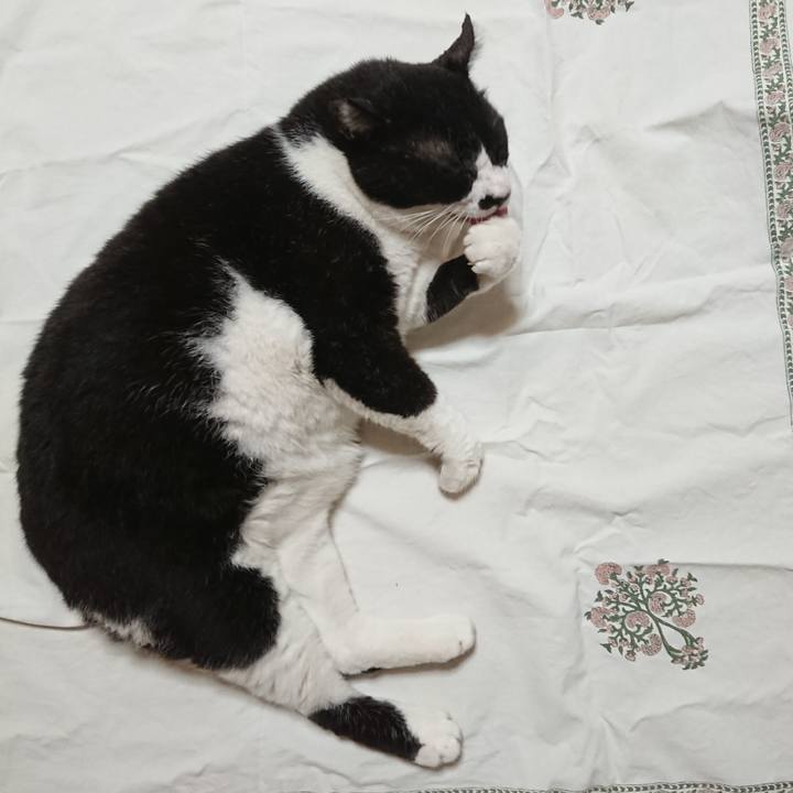 Ef292c78 1963 4227 a859 efcc60a1aa74 1630840636125