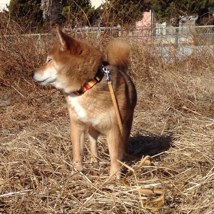 Ef293a1d 453a 4f90 814c 342e9cce2cc6 1515652923418