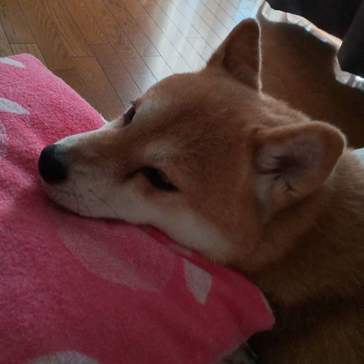 Ef294605 1150 4e49 8e81 41745bdbd635 1758090446831