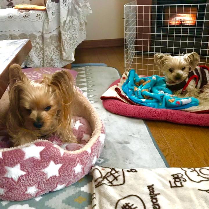 Ef294801 1ccc 4b58 aeda 50d10c1c2572 1578564315189