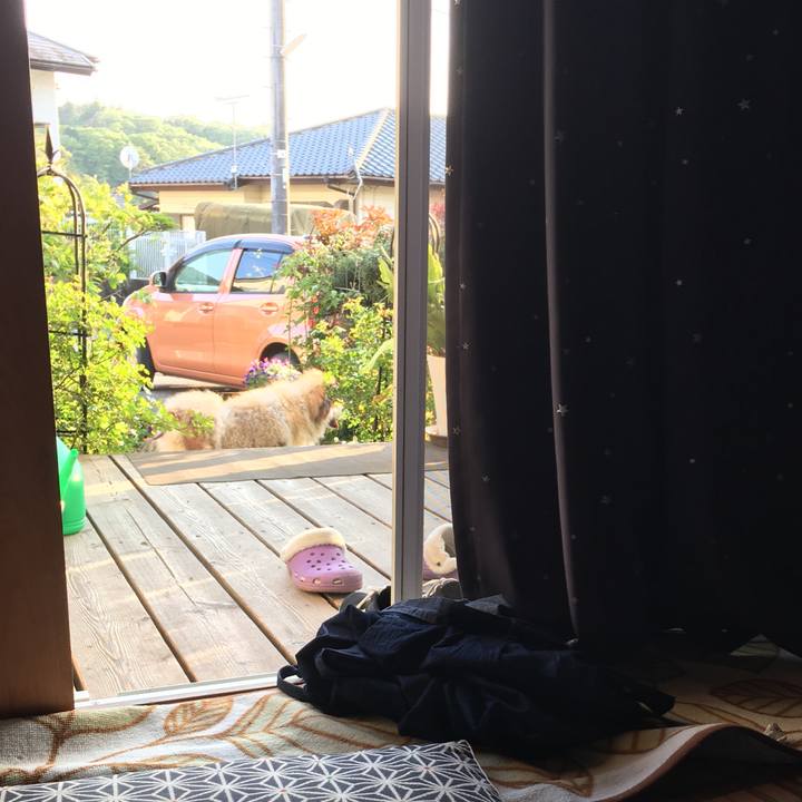 Ef298a97 45c6 46f9 bd97 3c93504f0f3b 1557377331565