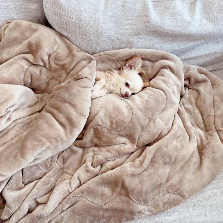 Ef29dd65 7014 49d1 89f1 51fa07fb162d 1720151156586