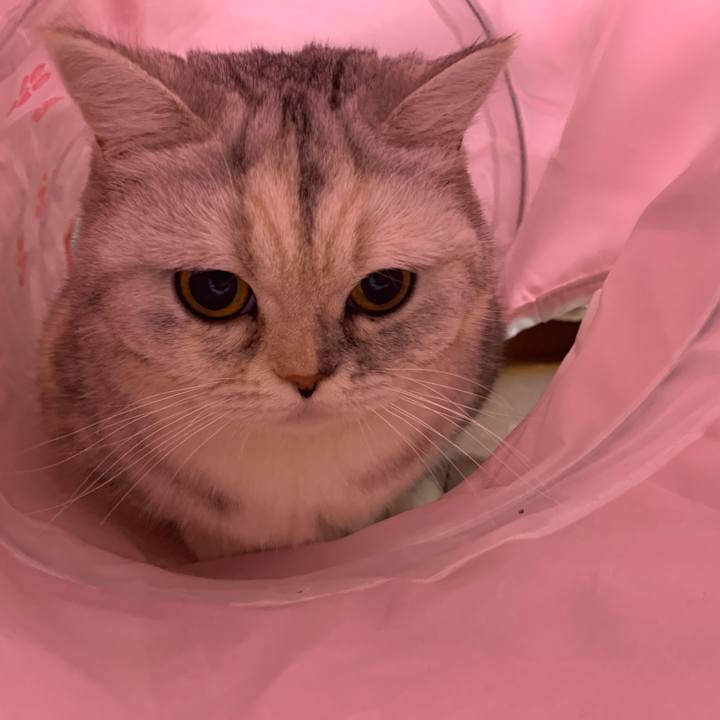 Ef2a78a7 3ea3 4f16 9d19 e0de0073f278 1710245550542