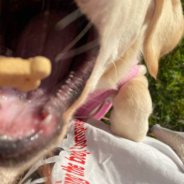 Ef2a8205 18a8 45c3 919e 056b5e548591 1615969994571