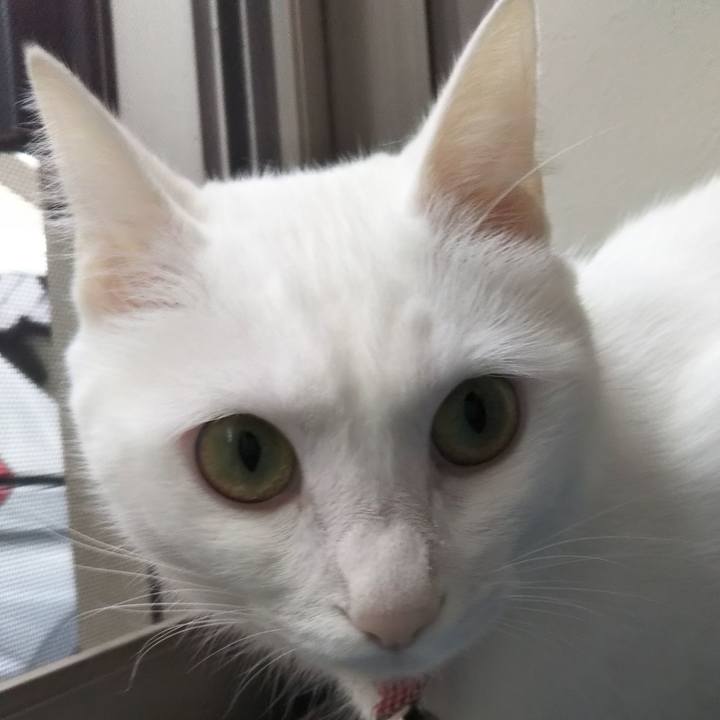 Ef2ab230 0e5e 45db acc1 c1673f3d8dc4 1627509403183