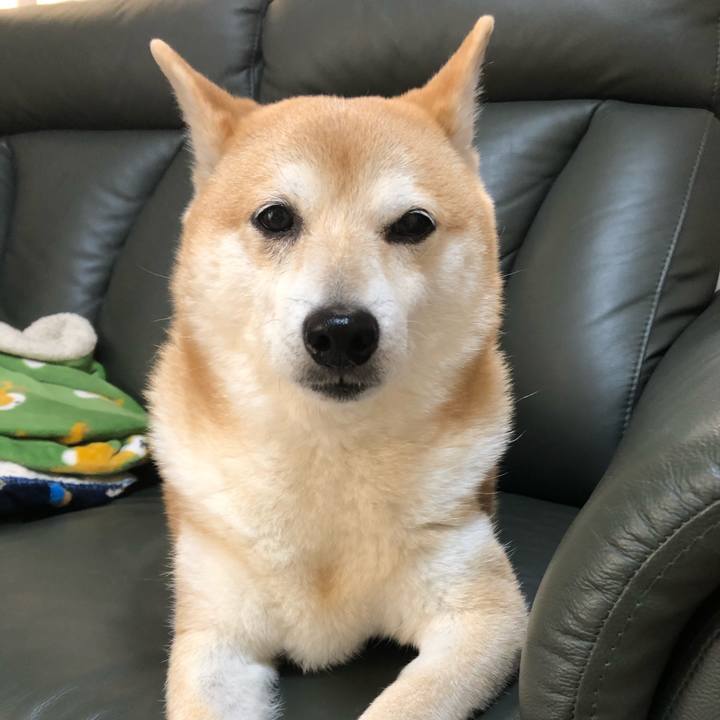 Ef2b39d7 1278 4d5f 96ff f984b900e190 1588372702351