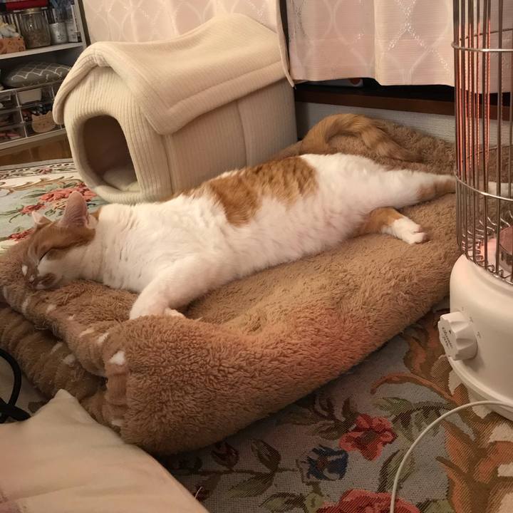 Ef2b44ca 04a6 450f 951b f8e3637dfa87 1577004566669