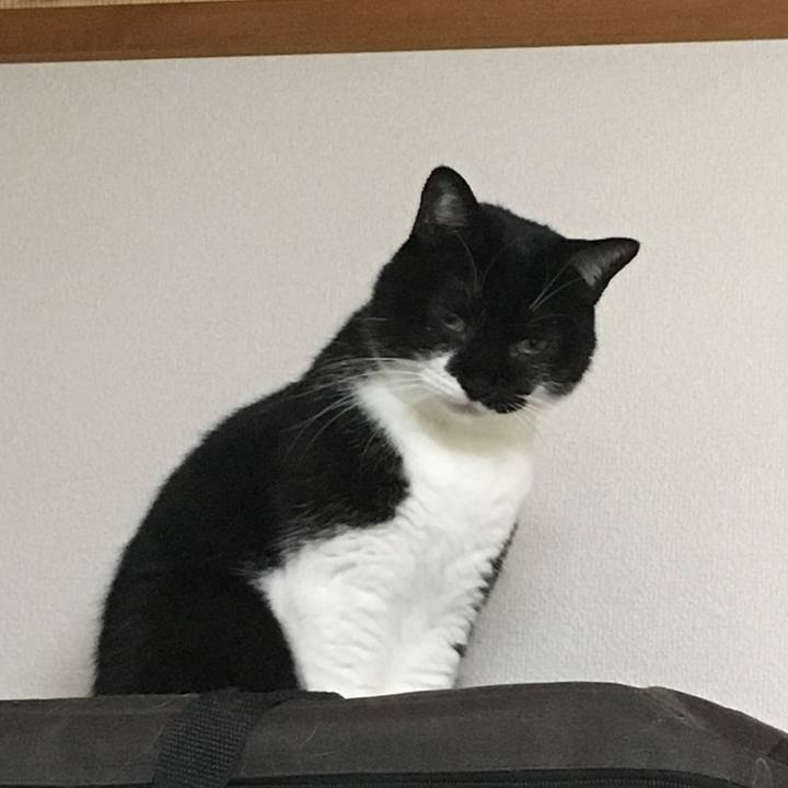 Ef2b5228 ecf3 4f49 877b aaddd541c3fb 1508414872692