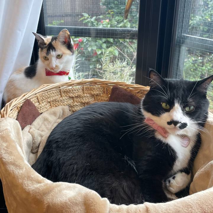 Ef2b761c c525 4682 82be 88c35c5a7db4 1712185943021