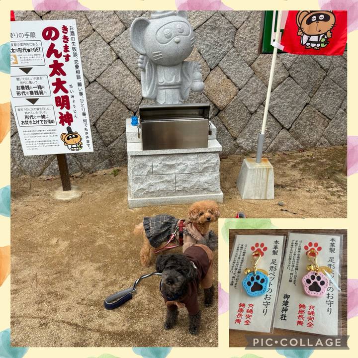 Ef2b84e2 dbc4 459d b4d7 34175919edcf 1704530788932