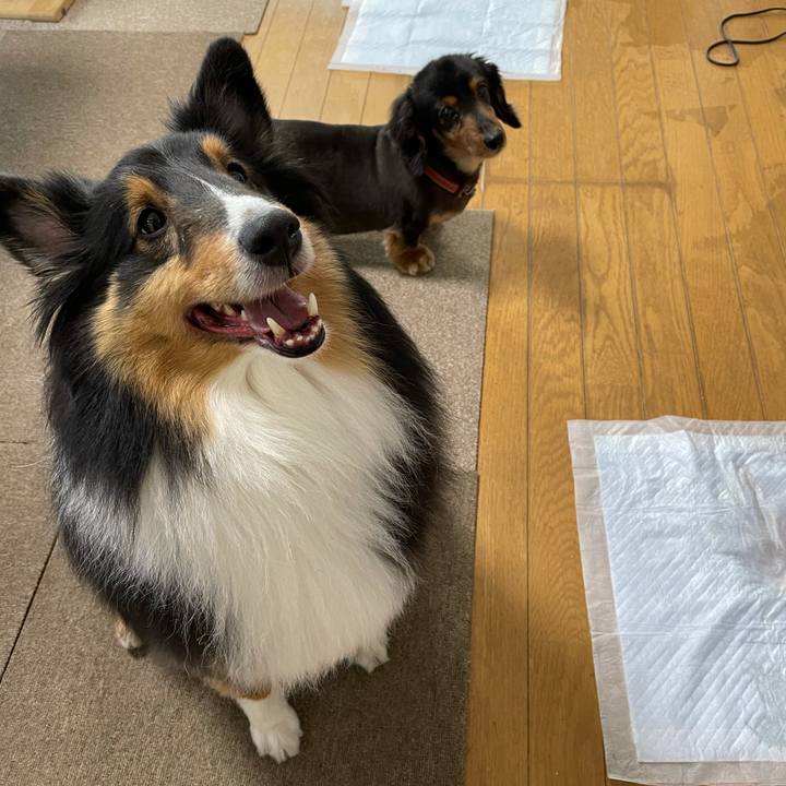 Ef2be430 478f 40fc 8ffa 663e82b26f3e 1616626795157