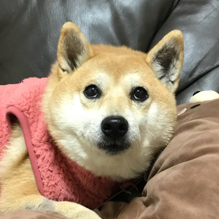 Ef2c8eee ae08 414c a162 cec3a1fed60b 1513764380851