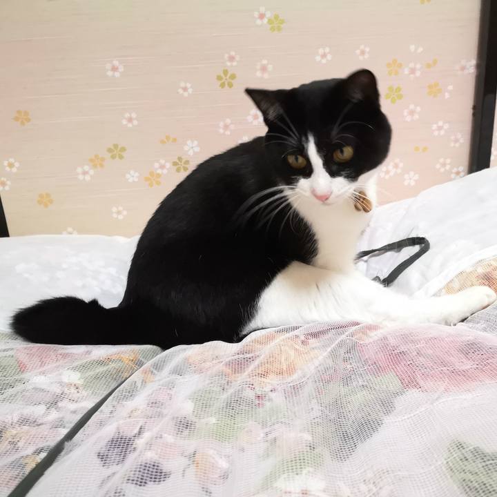 Ef2c8f27 8ea6 402b bc5b 6ed9f153ca9e 1571843453893