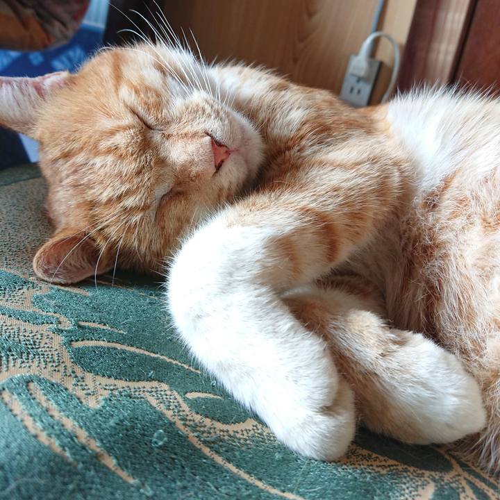 Ef2cb50d 5465 4516 be8f 368045a4cc28 1566706187122