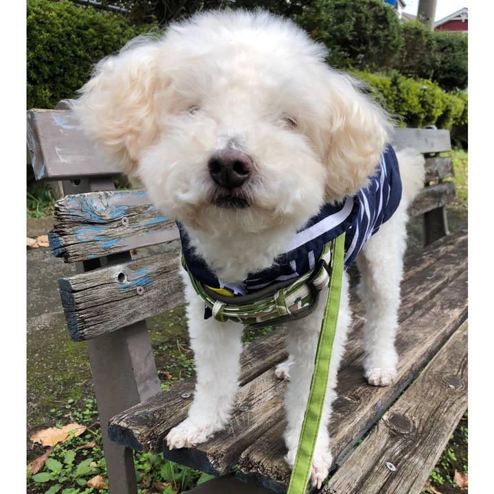 Ef2cc65c 90b7 4800 8221 7b39bc9c514b 1540015331131