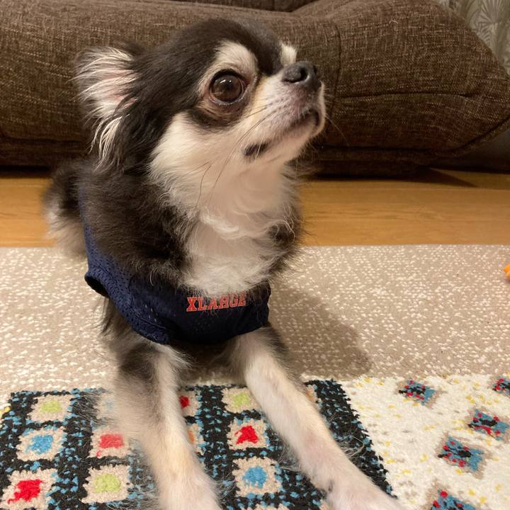 Ef2ccd0e 7081 4e96 8347 7c84309cf704 1719762285408