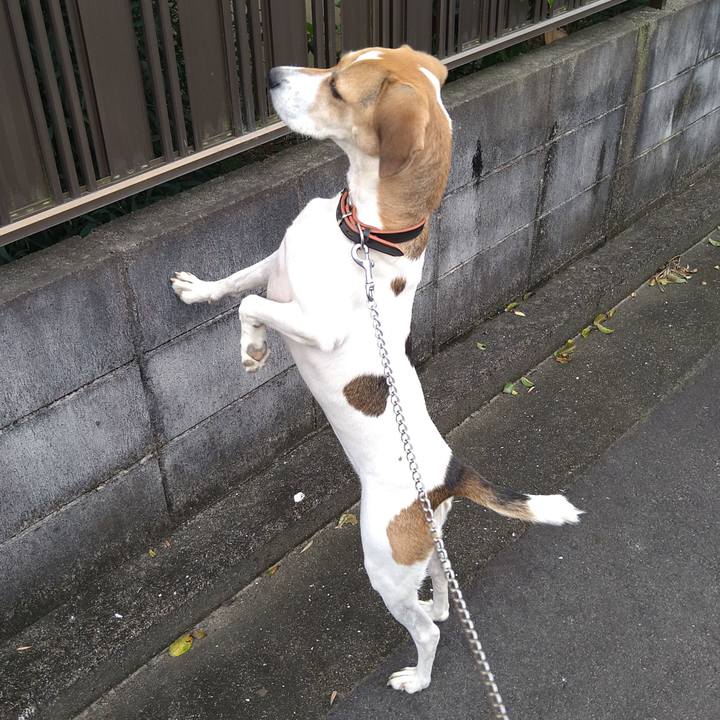 Ef2ceebf cf98 4006 872b ffa516570346 1632232578078