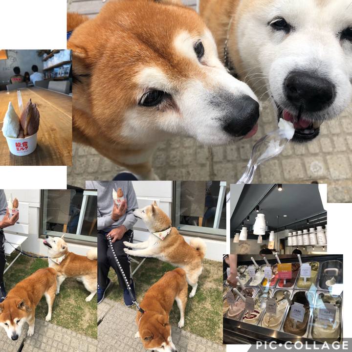 Ef2d0056 944e 4e69 9942 1afb69068ce4 1557131603839