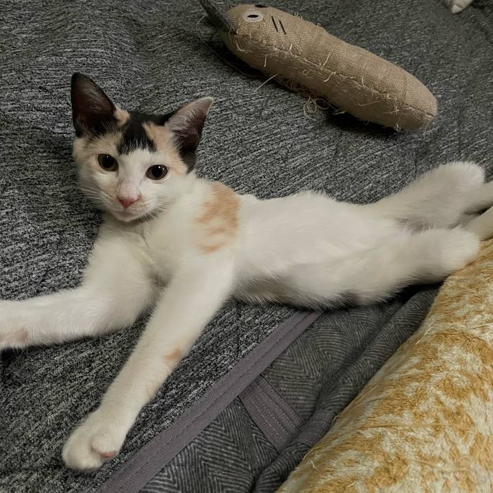 Ef2d10dd 56c3 469d 963c 83ee5b5e31a5 1662598044967