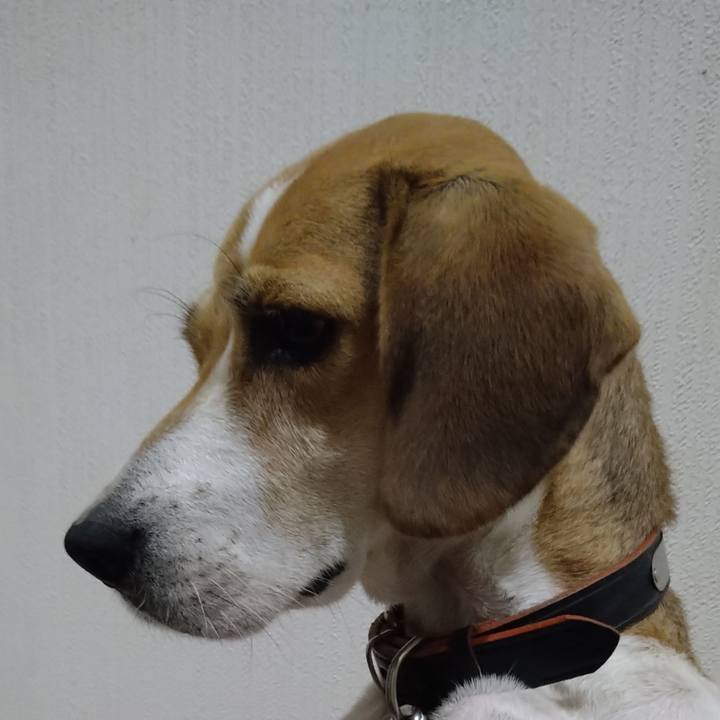 Ef2d186c 4260 475e 9923 bd486943e105 1633869071667