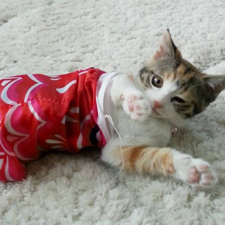 Ef2d1de5 26ee 45d1 aaf3 7761b3259fec 1507805792326