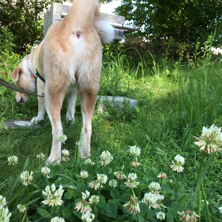 Ef2d246d 3264 4110 9c81 69e804dca7c1 1524869391196