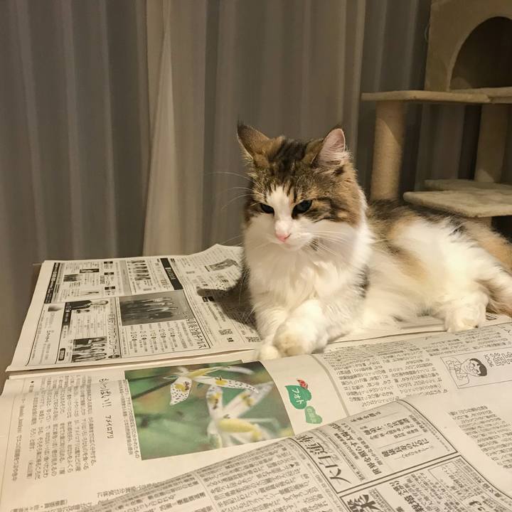 Ef2d254b b640 4d27 a23b 4c0b74a65276 1599735322685