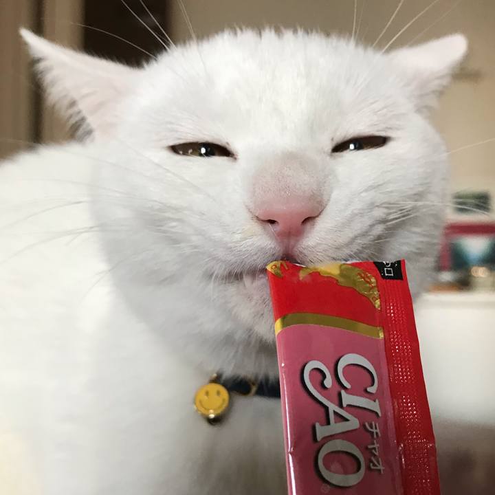 Ef2d27b7 3aea 45a1 8789 8acaf04e78f0 1578973893037