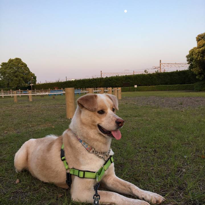 Ef2d383c 2a7d 4fd6 af8d c5dd7061e05f 1524911209999