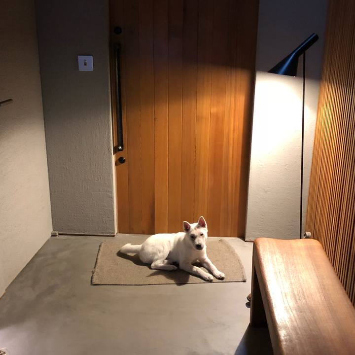 Ef2d6e66 3045 4cbb 8795 435ae0262ae8 1513773929908