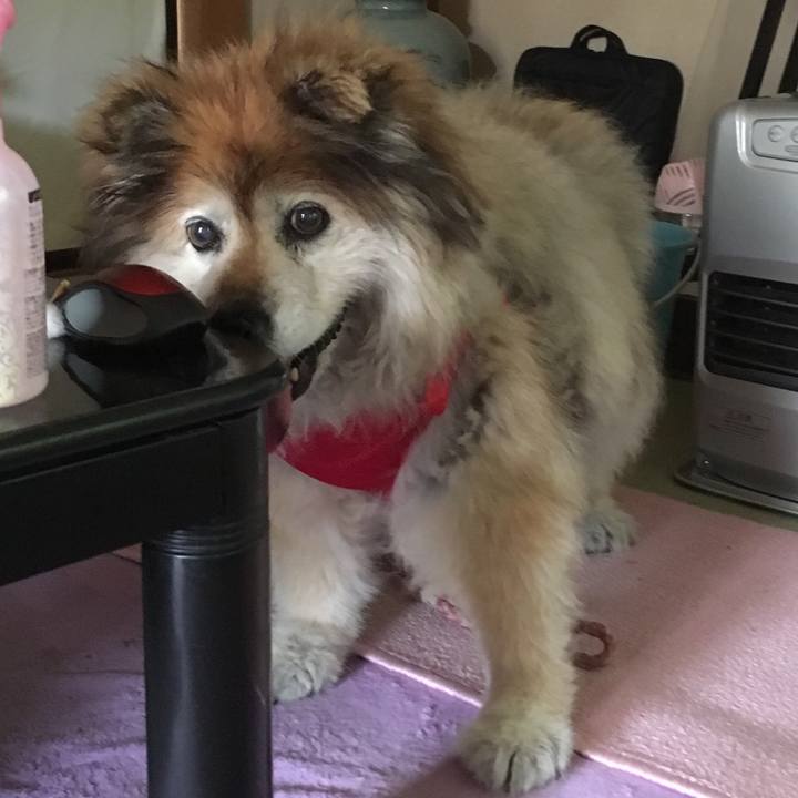 Ef2d9f69 b51e 4359 be2e 7c4e554fc71e 1556680283448