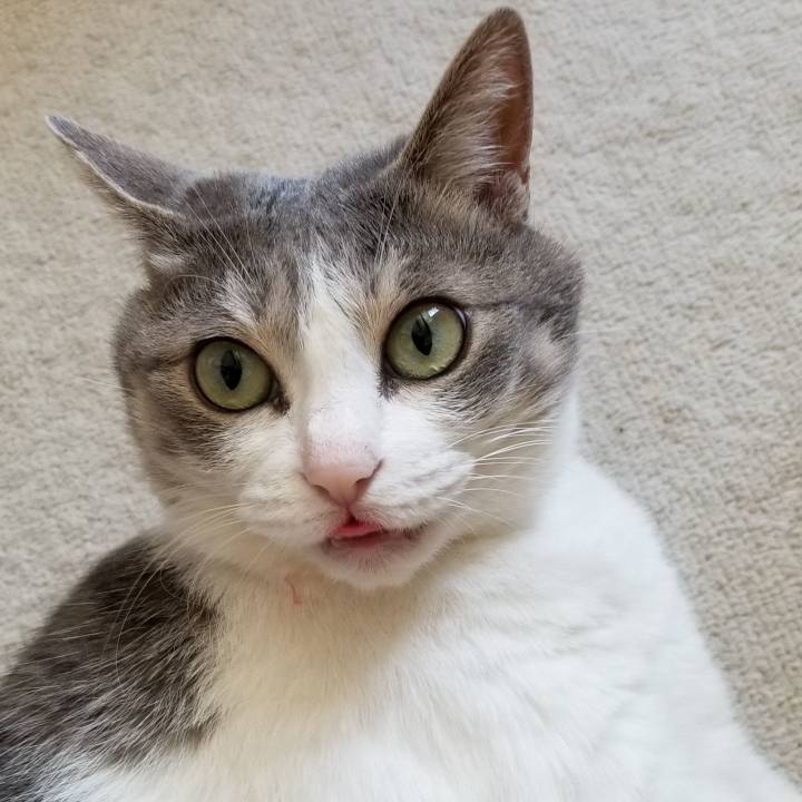 Ef2dd078 80ba 4d39 89f7 1bcbb2df6b77 1556165382026