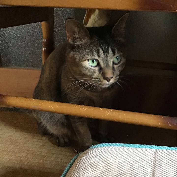 Ef2dd4e0 0f87 43ab 91b3 d9193de20a9f 1664280819916