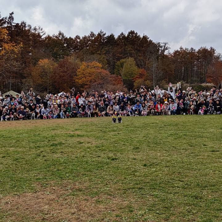 Ef2de6de 6743 46e8 82ce ac8fe882fadf 1699187142598